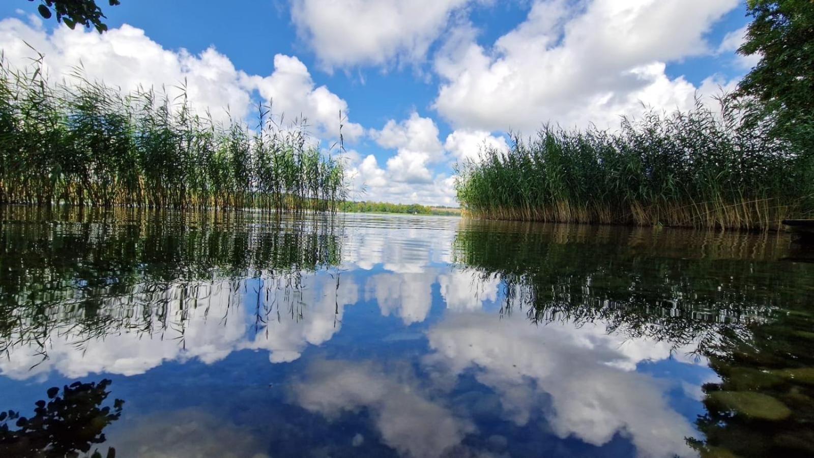 Korony Drzew - Mazury Mragowo
